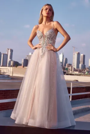 Applique Sleeveless Tulle Gown by Ladivine CC0881