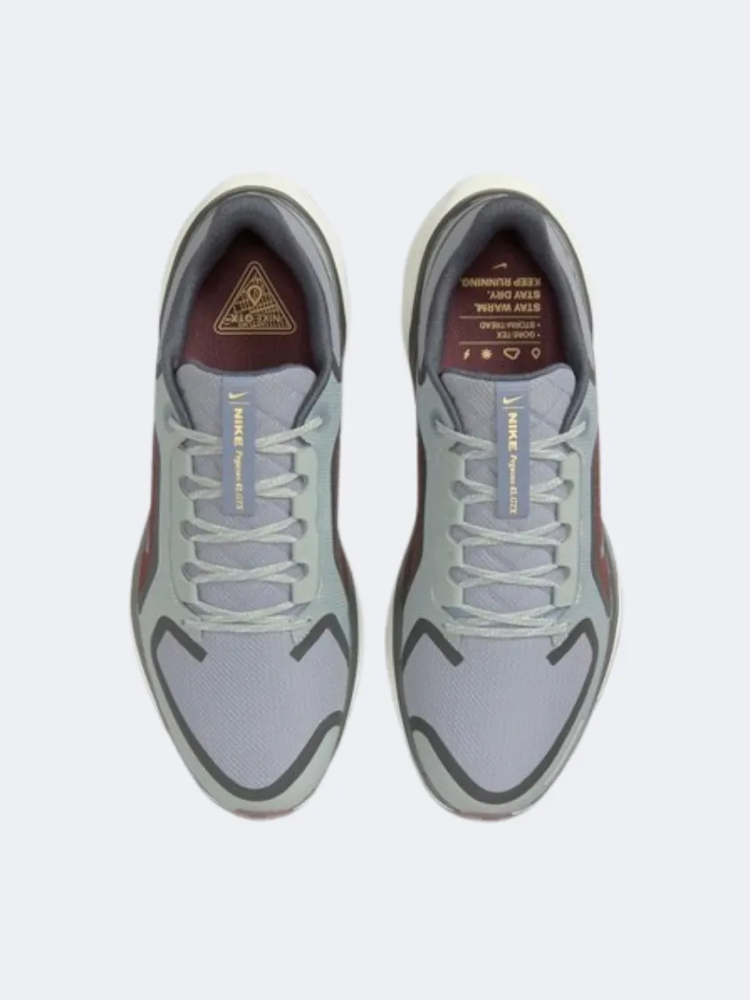 Nike Air Zoom Pegasus 41 Goretex Men Running Shoes Pumice/Burgundy/Ash