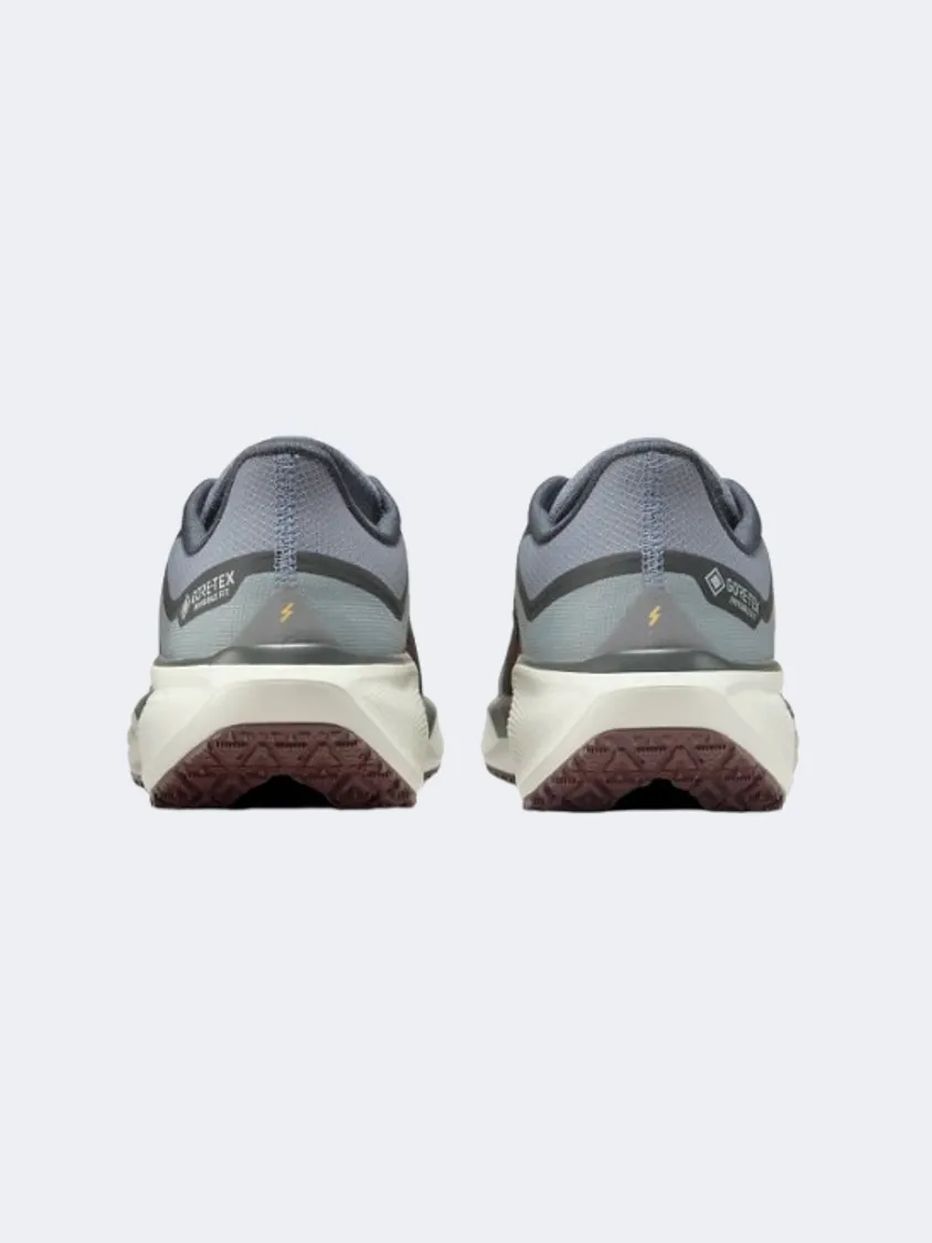 Nike Air Zoom Pegasus 41 Goretex Men Running Shoes Pumice/Burgundy/Ash